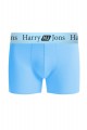 Boxer Harry Jons Pastels Pack Εμπριμε L